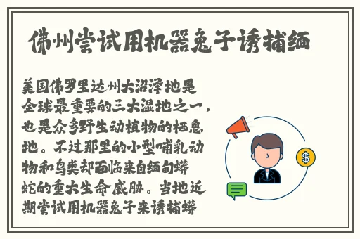 欧美精品999